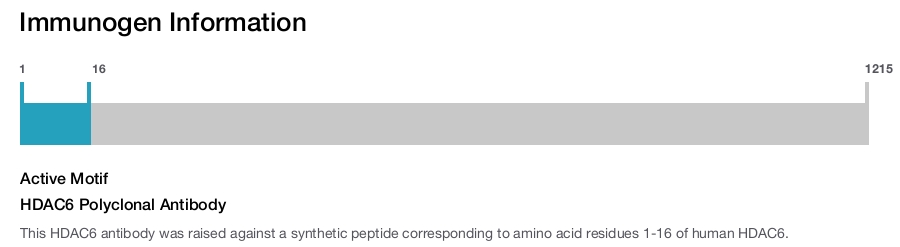 HDAC6 Polyclonal Antibody