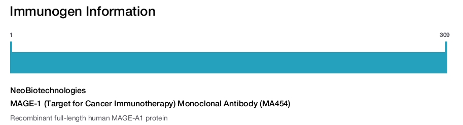 MAGE-1 (Target for Cancer Immunotherapy) Monoclonal Antibody (MA454)