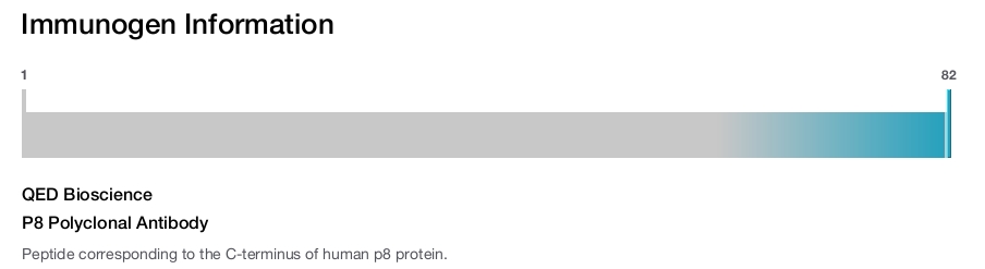 P8 Polyclonal Antibody