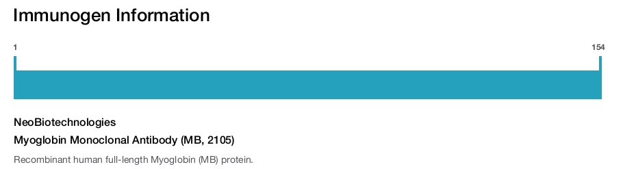 Myoglobin Monoclonal Antibody (MB, 2105)