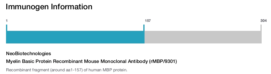 Myelin Basic Protein Recombinant Mouse Monoclonal Antibody (rMBP/9301)