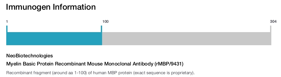 Myelin Basic Protein Recombinant Mouse Monoclonal Antibody (rMBP/9431)