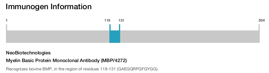 Myelin Basic Protein Monoclonal Antibody (MBP/4272)
