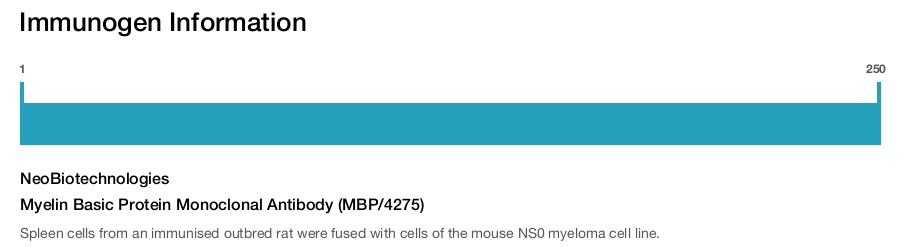 Myelin Basic Protein Monoclonal Antibody (MBP/4275)