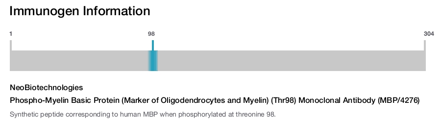 Phospho-Myelin Basic Protein (Marker of Oligodendrocytes and Myelin) (Thr98) Monoclonal Antibody (MBP/4276)