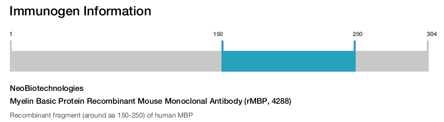Myelin Basic Protein Recombinant Mouse Monoclonal Antibody (rMBP, 4288)