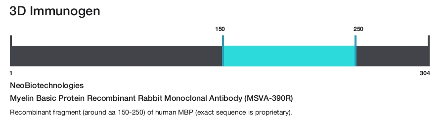Myelin Basic Protein Recombinant Rabbit Monoclonal Antibody (MSVA-390R)