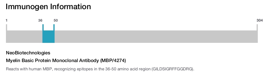 Myelin Basic Protein Monoclonal Antibody (MBP/4274)