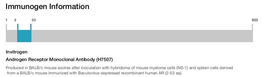 Androgen Receptor Monoclonal Antibody (H7507)