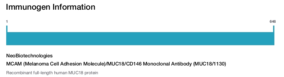 MCAM (Melanoma Cell Adhesion Molecule)/MUC18/CD146 Monoclonal Antibody (MUC18/1130)