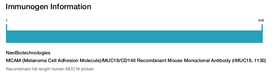 MCAM (Melanoma Cell Adhesion Molecule)/MUC18/CD146 Recombinant Mouse Monoclonal Antibody (rMUC18, 1130)