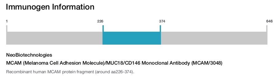 MCAM (Melanoma Cell Adhesion Molecule)/MUC18/CD146 Monoclonal Antibody (MCAM/3048)