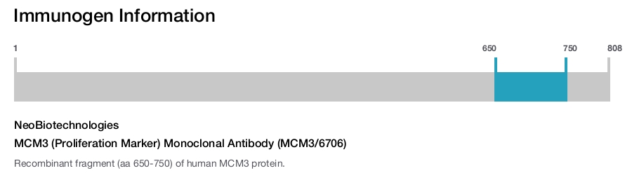 MCM3 (Proliferation Marker) Monoclonal Antibody (MCM3/6706)