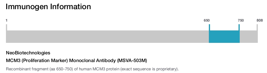 MCM3 (Proliferation Marker) Monoclonal Antibody (MSVA-503M)