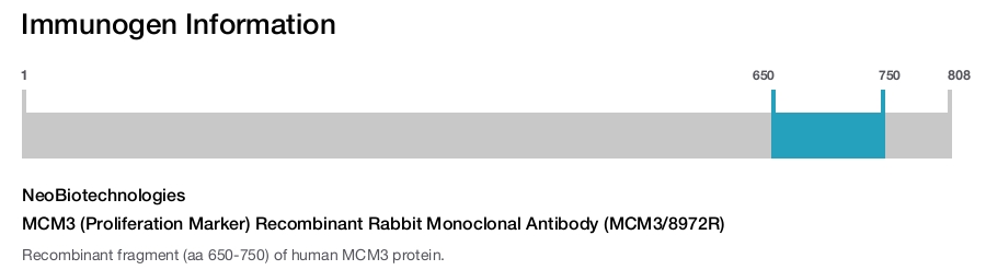 MCM3 (Proliferation Marker) Recombinant Rabbit Monoclonal Antibody (MCM3/8972R)