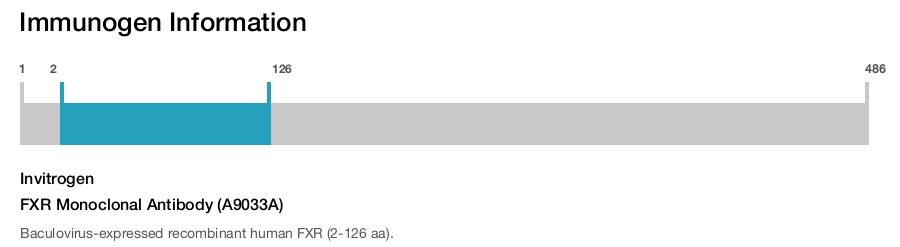 FXR Monoclonal Antibody (A9033A)