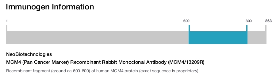 MCM4 (Pan Cancer Marker) Recombinant Rabbit Monoclonal Antibody (MCM4/13209R)