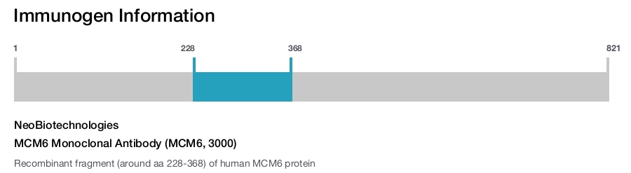 MCM6 Monoclonal Antibody (MCM6, 3000)