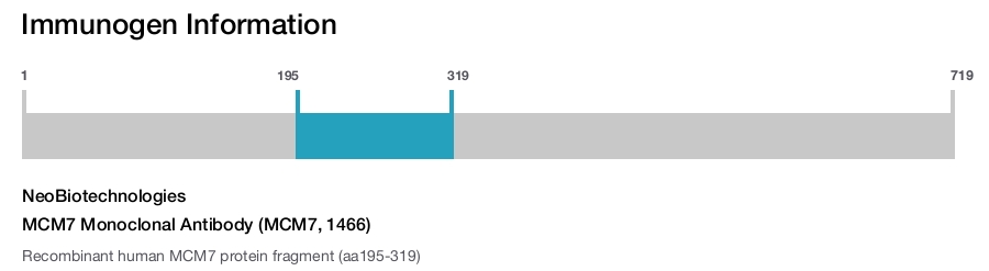 MCM7 Monoclonal Antibody (MCM7, 1466)