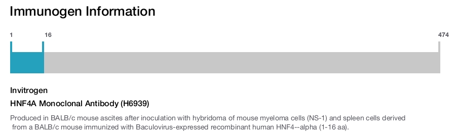 HNF4A Monoclonal Antibody (H6939)