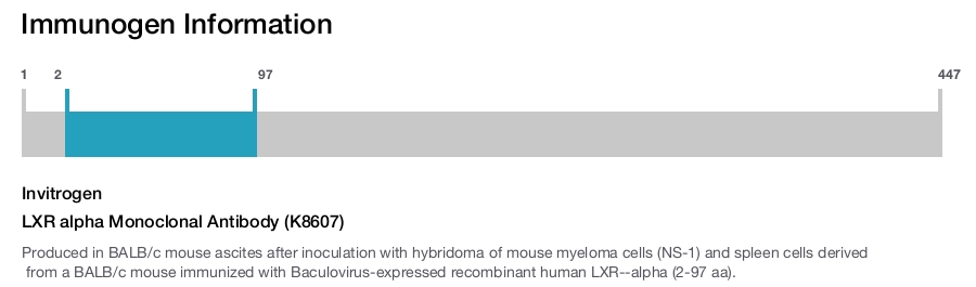 LXR alpha Monoclonal Antibody (K8607)