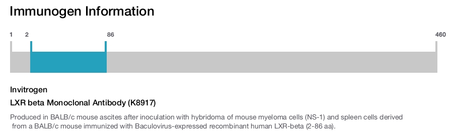 LXR beta Monoclonal Antibody (K8917)