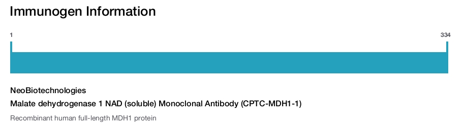 Malate dehydrogenase 1 NAD (soluble) Monoclonal Antibody (CPTC-MDH1-1)
