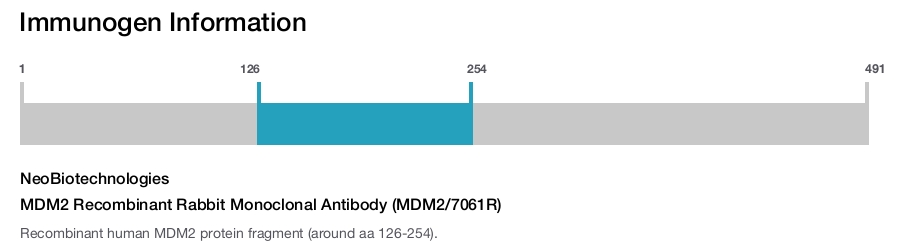MDM2 Recombinant Rabbit Monoclonal Antibody (MDM2/7061R)