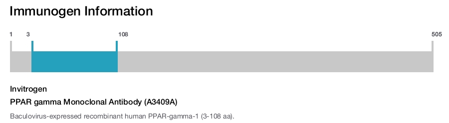PPAR gamma Monoclonal Antibody (A3409A)