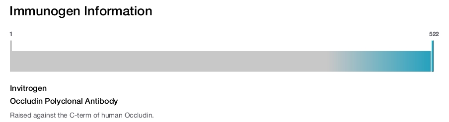 Occludin Polyclonal Antibody