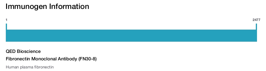 Fibronectin Monoclonal Antibody (FN30-8)
