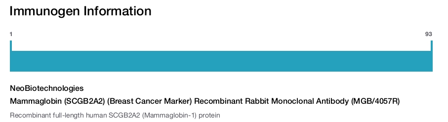 Mammaglobin (SCGB2A2) (Breast Cancer Marker) Recombinant Rabbit Monoclonal Antibody (MGB/4057R)