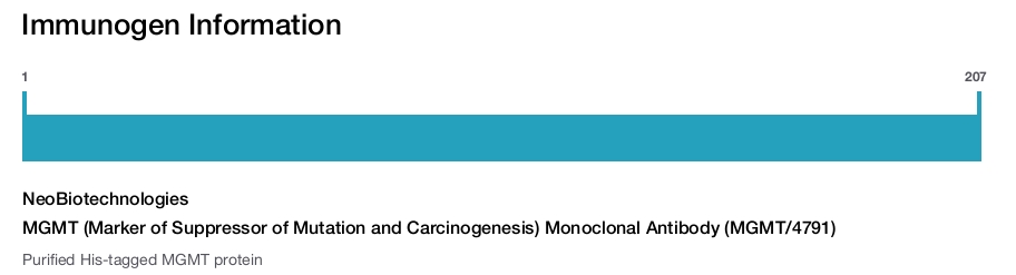 MGMT (Marker of Suppressor of Mutation and Carcinogenesis) Monoclonal Antibody (MGMT/4791)