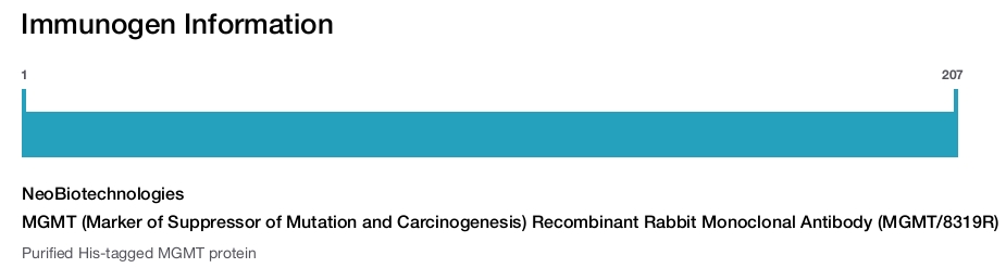MGMT (Marker of Suppressor of Mutation and Carcinogenesis) Recombinant Rabbit Monoclonal Antibody (MGMT/8319R)