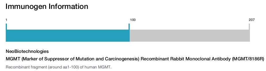MGMT (Marker of Suppressor of Mutation and Carcinogenesis) Recombinant Rabbit Monoclonal Antibody (MGMT/8186R)