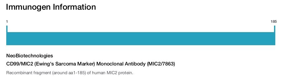 CD99/MIC2 (Ewing's Sarcoma Marker) Monoclonal Antibody (MIC2/7863)