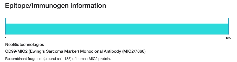 CD99/MIC2 (Ewing's Sarcoma Marker) Monoclonal Antibody (MIC2/7866)