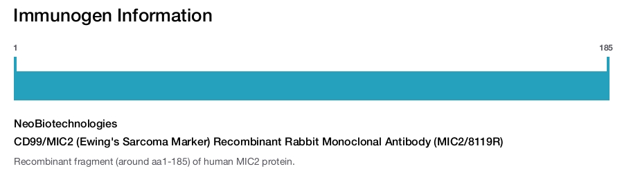 CD99/MIC2 (Ewing's Sarcoma Marker) Recombinant Rabbit Monoclonal Antibody (MIC2/8119R)