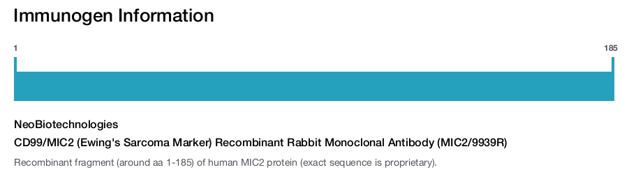 CD99/MIC2 (Ewing's Sarcoma Marker) Recombinant Rabbit Monoclonal Antibody (MIC2/9939R)