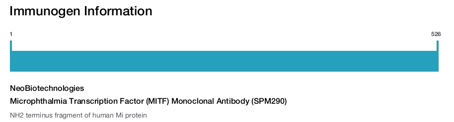 Microphthalmia Transcription Factor (MITF) Monoclonal Antibody (SPM290)