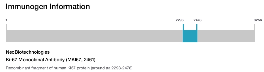 Ki-67 Monoclonal Antibody (MKI67, 2461)