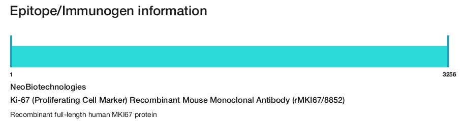 Ki-67 (Proliferating Cell Marker) Recombinant Mouse Monoclonal Antibody (rMKI67/8852)