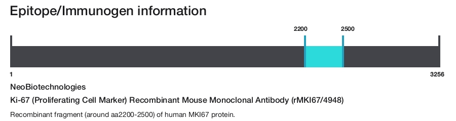 Ki-67 (Proliferating Cell Marker) Recombinant Mouse Monoclonal Antibody (rMKI67/4948)