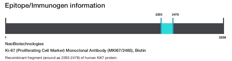 Ki-67 (Proliferating Cell Marker) Monoclonal Antibody (MKI67/2465), Biotin