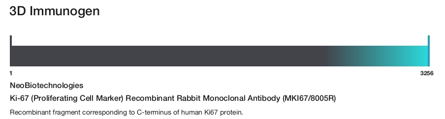 Ki-67 (Proliferating Cell Marker) Recombinant Rabbit Monoclonal Antibody (MKI67/8005R)