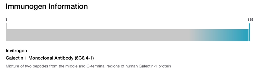 Galectin 1 Monoclonal Antibody (6C8.4-1)