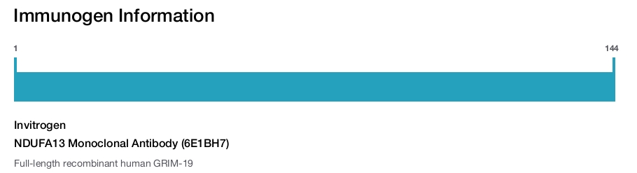 NDUFA13 Monoclonal Antibody (6E1BH7)