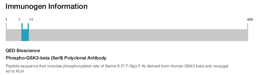 Phospho-GSK3-beta (Ser9) Polyclonal Antibody