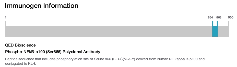 Phospho-NFkB-p100 (Ser866) Polyclonal Antibody