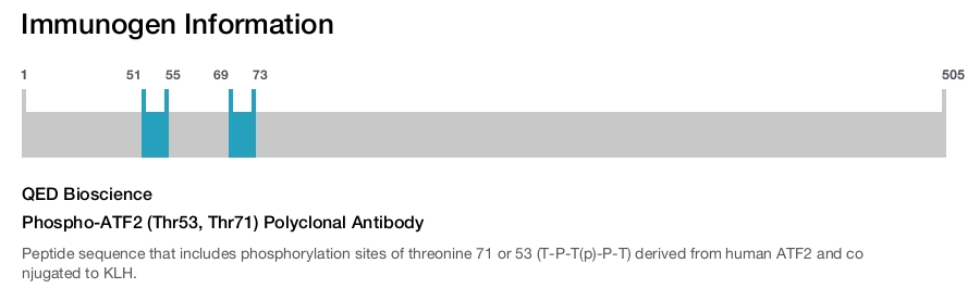 Phospho-ATF2 (Thr53, Thr71) Polyclonal Antibody